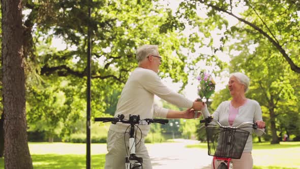 Happy Senior Couple Riding Bicycles at Summer Park 1