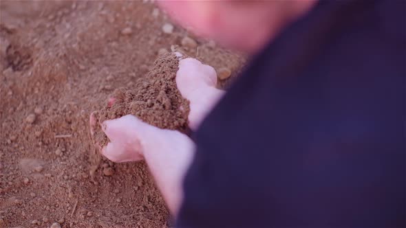 Farmer Examining Organic Soil in Hands, Farmer Touching Dirt in Agriculture Field