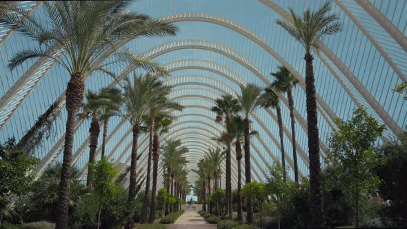 Palm Trees Grow Indoors in Modern Botanical Garden