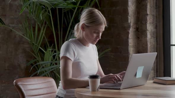 Attractive young female freelancer drinking coffee or tea while working over the project