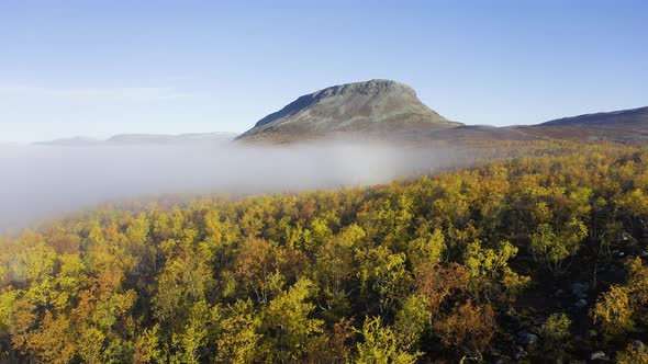 Autumn foliage colors and morning mist in forest trees filmed from air in Kilpisjarvi, Finland