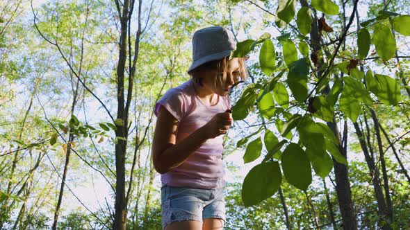 Naturalist Kid is Studying Nature of Forest with Magnifying Glasses and Take Notes in His Notebook