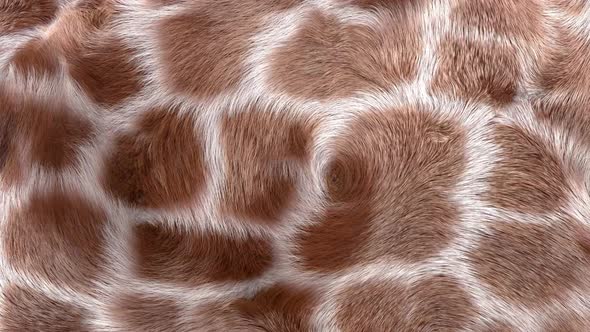 Giraffe Fur Background