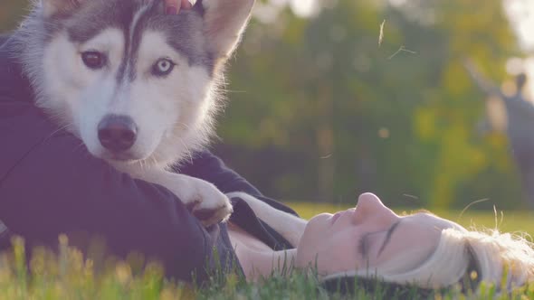 Beautiful Young Woman Playing with Funny Husky Dog Outdoors in Park