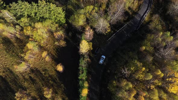 Aerial Top Down View of a White Car Passing Through an Autumn Forest Road