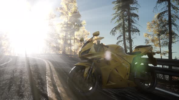 Sportbike on Tre Road in Forest with Sun Beams