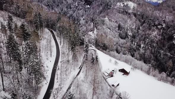 Drone flies straight next to a road which goes through a forest in Switzerland. Next to the road is
