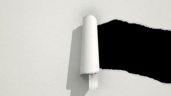 Ripped Paper White alt