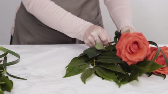 Time lapse. Florist pruning red roses for bouquet arrangement