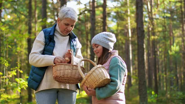 Grandmother and Granddaughter Picking Mushrooms