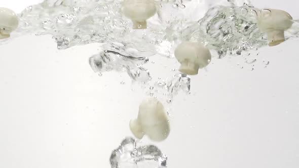 White Mushrooms Splashing Into Water in Slowmotion