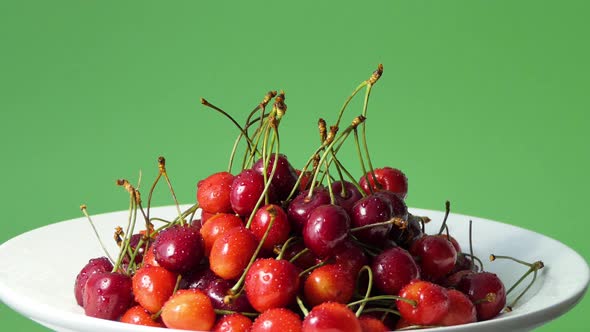 Red Cherries in Water Drops on a Green Background