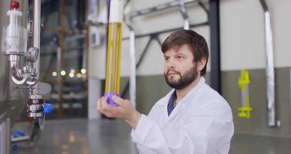 Men Testing Quality of Fresh Beer in a Brewery