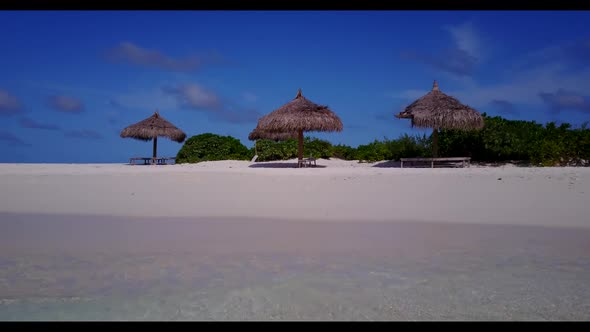 Aerial view scenery of marine coastline beach wildlife by turquoise ocean and white sandy background