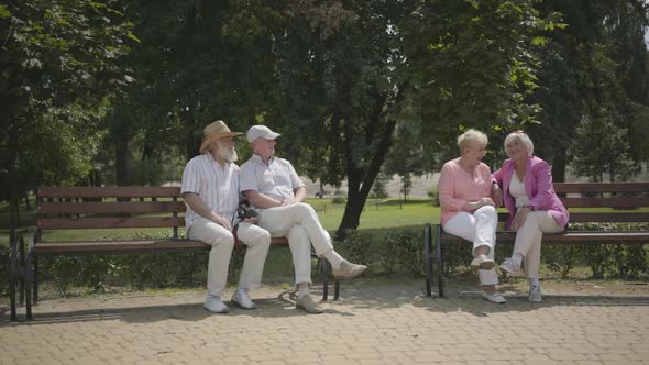 Two Senior Couples Sitting on the Bench Near Each Other in the Summer Park