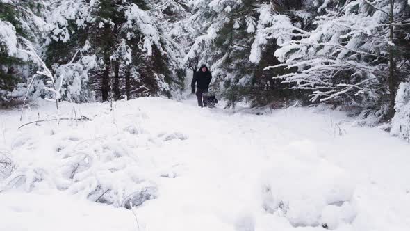 Dad Sledding His Son at a Ski Resort in a Snowcovered Winter Forest Slow Motion Shooting