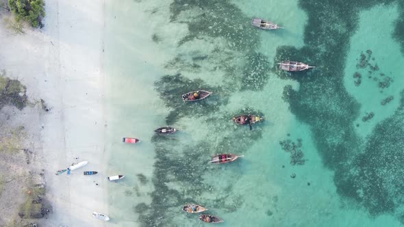 Vertical Video Boats in the Ocean Near the Coast of Zanzibar Tanzania Aerial View