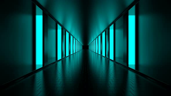 Blue Lighted Loop Road alt