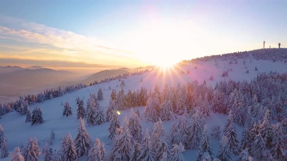 Sunrise in Winter Forest Mountains