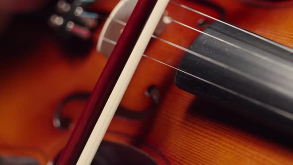 On the strings of violin the musician plays with a bow, a close-up.