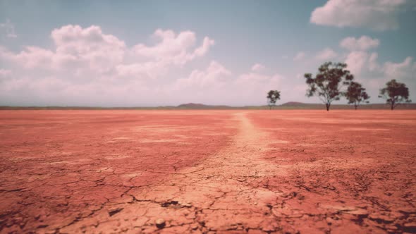 Cracked Ground Dry Land During the Dry Season