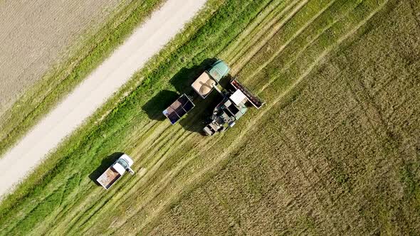 Aerial view of a green vintage combine harvester dumping wheat to the truck, yellow reap grain crops