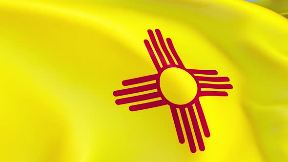 New Mexico State Flag