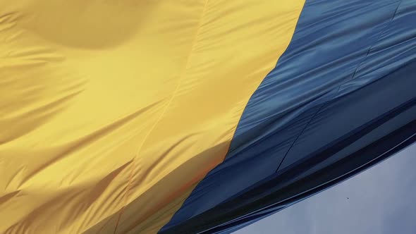 Vertical Video National Flag of Ukraine