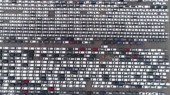 Rows of on cars parked in car parking auction lot