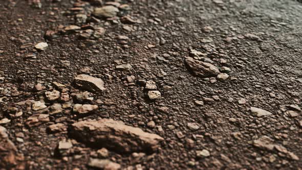 Closeup of Dirty Ground Road alt
