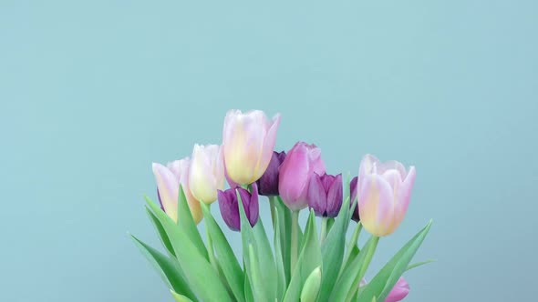 Spring Flowers In Easter Pastel Color