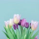 Spring Flowers In Easter Pastel Color - VideoHive Item for Sale