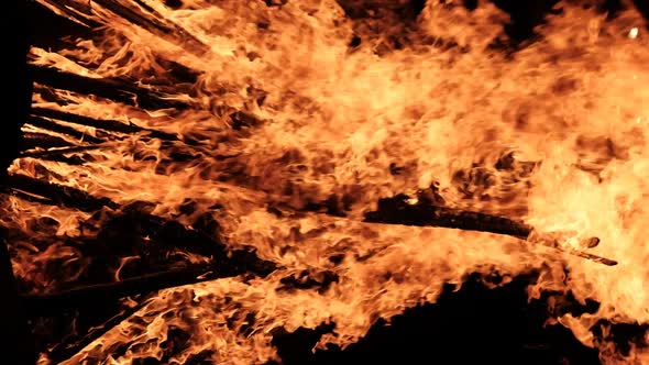 Vertical Video Bonfire Burns at Night on a Black Background on Nature