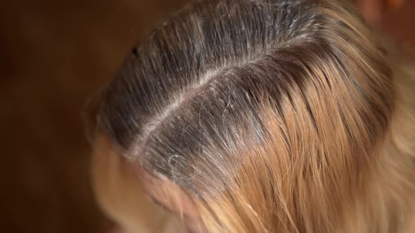 Hairdresser Is Dying Hair Roots of Young Woman.
