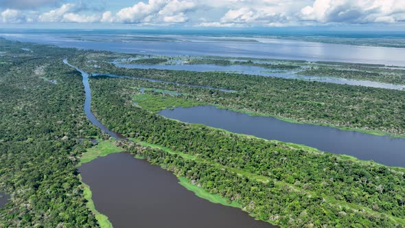 Stunning landscape of Amazon Forest at Amazonas State Brazil.