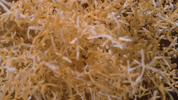 Shredded cheddar cheese flies after being exploded. Slow Motion.