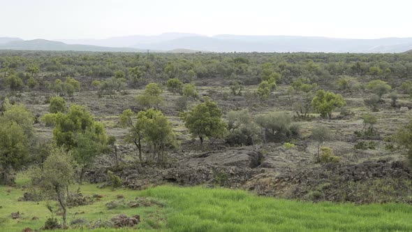 Basaltic Plateau