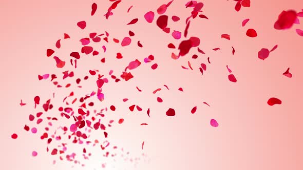 Flying Rose Petals On Pink Background