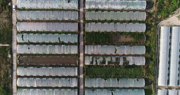 Aerial view of greenhouses for vegetables on farm