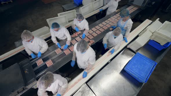 Top View of Factory Employees Packaging Fish Snacks Into Plastic. Factory Workers in Protective