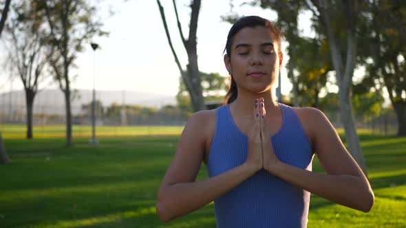 A beautiful young hispanic woman yogi meditating in a one legged prayer hands pose in the park at su