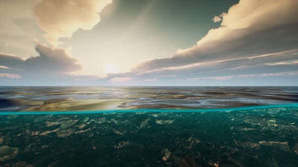 Underwater View with Horizon and Water Surface Split By Waterline