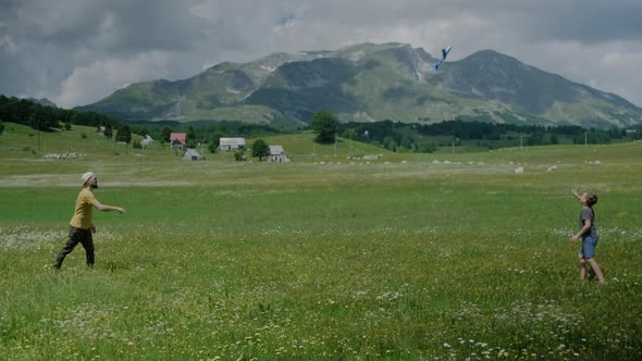 Father with his son play together with a toy blue plane runs through a meadow with flowers