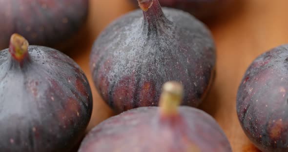 Ripe of Common fig