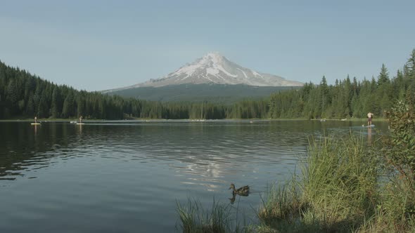 Lake near Mount Hood