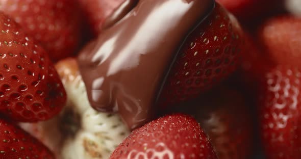 Closeup Macro Fresh Strawberries Covering with Melted Liquid Chocolate
