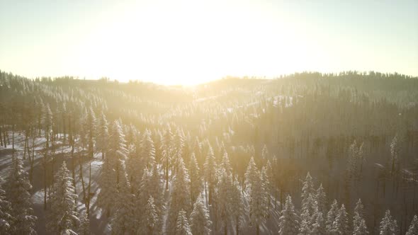 Colorful Winter Sunrise in the Mountains