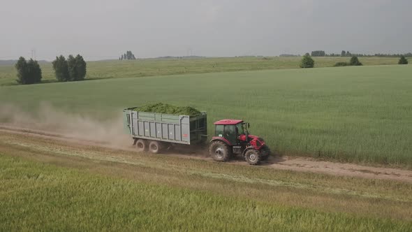 Aerial View Tractor with Trailer Carries Freshly Cut Feed Crop To Farm. Farmers Will Use Plants for