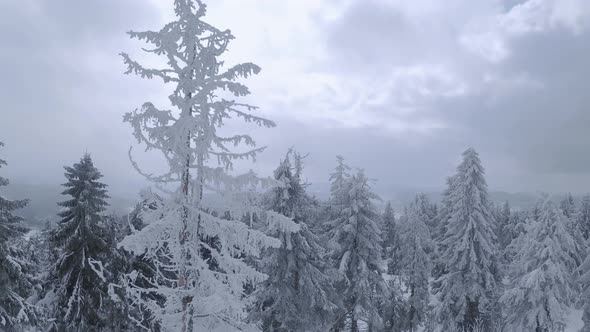 Aerial View of a Fabulous Winter Mountain Landscape Closeup During Snowfall