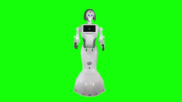 Robot Is Tilting Its Body. Green Screen